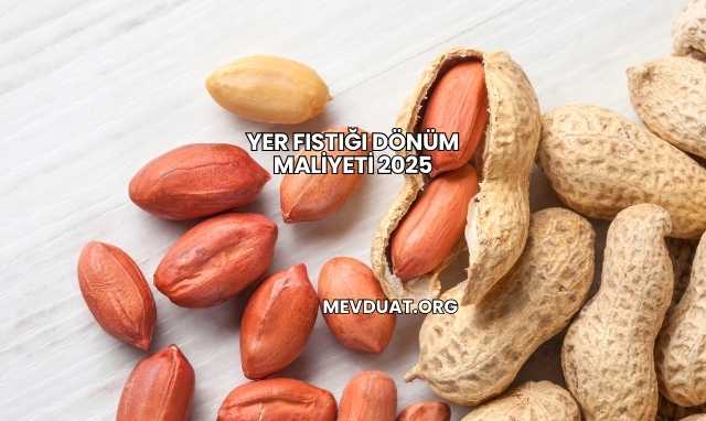 Yer Fıstığı Dönüm Maliyeti 2025