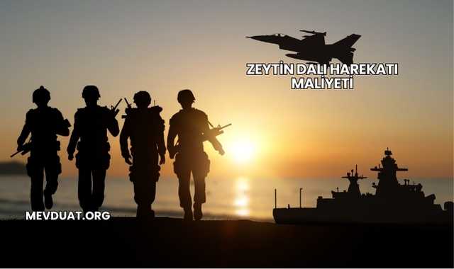 Zeytin Dalı Harekatı Maliyeti