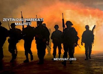 Zeytin Dalı Harekatı Maliyeti