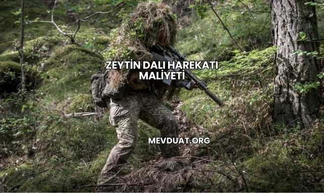 Zeytin Dalı Harekatı Maliyeti