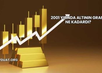 2001 Yılında Altının Gramı Ne Kadardı?