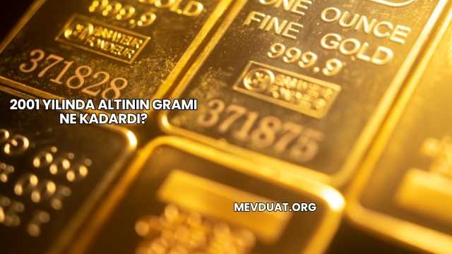 2001 Yılında Altının Gramı Ne Kadardı?