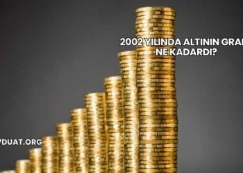 2002 Yılında Altının Gramı Ne Kadardı?