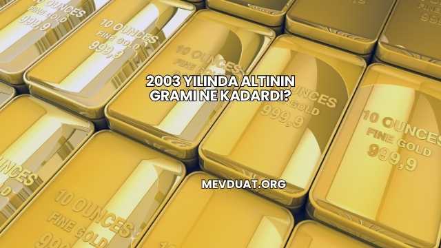 2003 Yılında Altının Gramı Ne Kadardı?