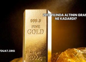 2013 Yılında Altının Gramı Ne Kadardı?