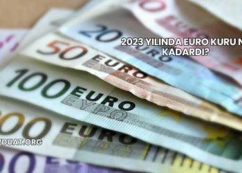 2023 Yılında Euro Kuru Ne Kadardı?
