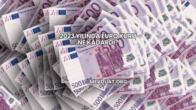 2023 Yılında Euro Kuru Ne Kadardı?