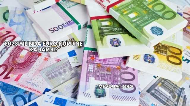 2023 Yılında Euro Kuru Ne Kadardı?
