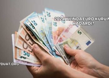 2024 Yılında Euro Kuru Ne Kadardı?