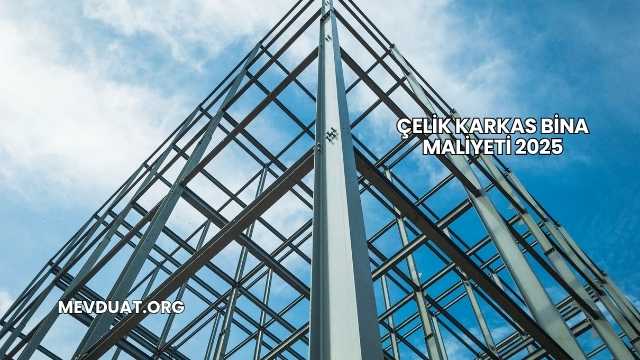 Çelik Karkas Bina Maliyeti 2025