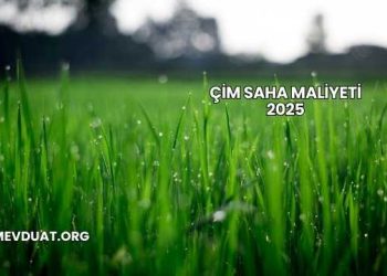 Çim Saha Maliyeti 2025