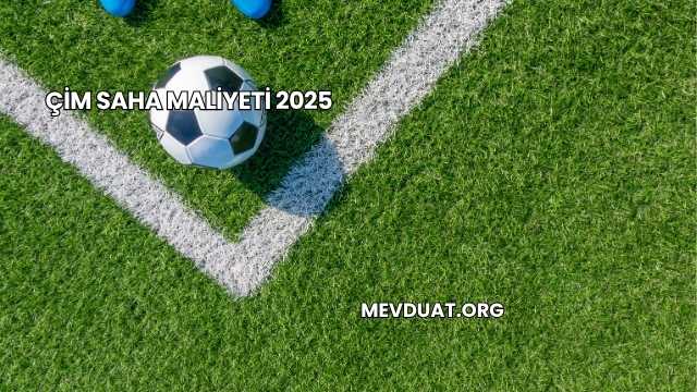 Çim Saha Maliyeti 2025