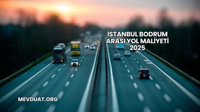 İstanbul Bodrum Arası Yol Maliyeti 2025