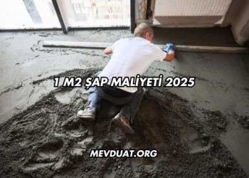 1 M2 Şap Maliyeti 2025