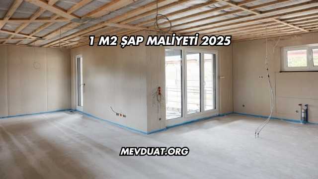 1 M2 Şap Maliyeti 2025