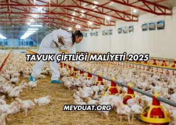 Tavuk Çiftliği Maliyeti 2025