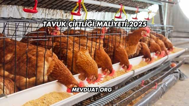 Tavuk Çiftliği Maliyeti 2025