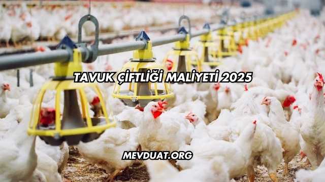 Tavuk Çiftliği Maliyeti 2025