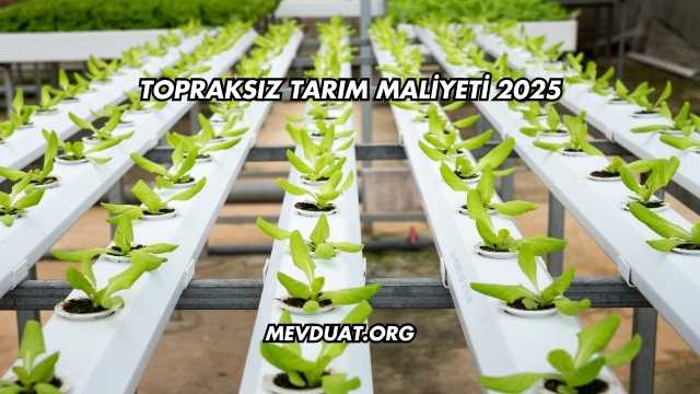 Topraksız Tarım Maliyeti 2025
