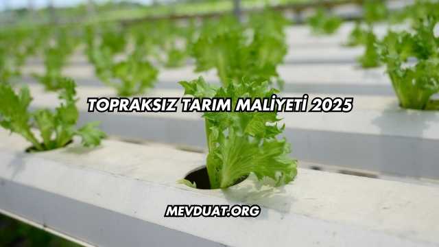Topraksız Tarım Maliyeti 2025